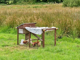 Chalet Ilfracombe Enregistrement extérieur 7