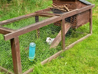 Chalet Ilfracombe Enregistrement extérieur 3