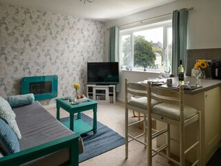 Appartement Coed Ystumgwern Équipement 12