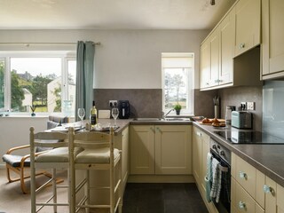 Appartement Coed Ystumgwern Équipement 8
