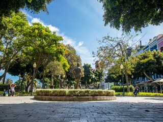 Appartement Las Palmas  42