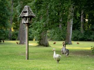 Chalet Andover Registrazione all'aperto 1