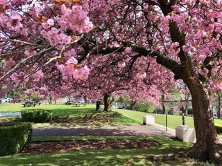 Apartamento Buxton Entorno 33