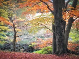 Apartamento Buxton Entorno 26