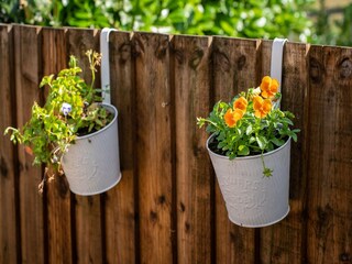 Vakantiehuisje Cossington Buitenaudio-opname 6