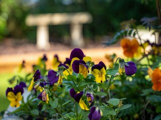 Vakantiehuisje Cossington Buitenaudio-opname 2