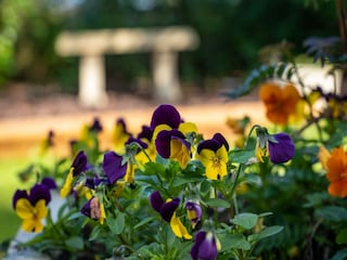 Vakantiehuisje Cossington Buitenaudio-opname 9