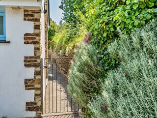 Cottage Padstow Außenaufnahme 8