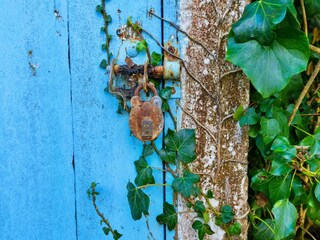 Maison de vacances Padstow Équipement 29