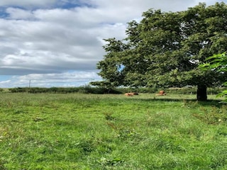 Chalet Malton Umgebung 31