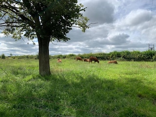 Chalet Malton Umgebung 24