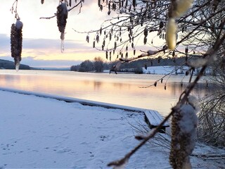 Winter am Igelsbachsee