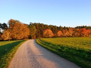 Richtung Wald/See