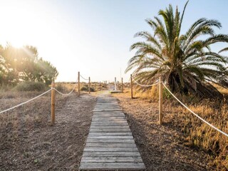 Appartement Sagunto  50