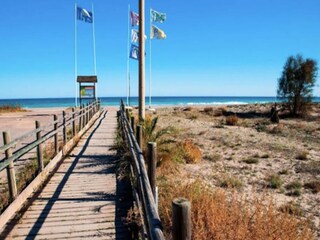 Appartement Sagunto  54