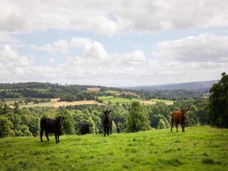 Chalet Hexham Ambiente 19