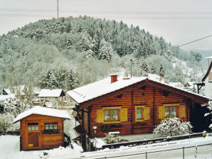 Ferienhaus Roth, Ferienwohnung 2 - Elmstein - image1