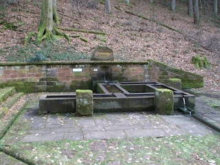 Alter Waschbrunnen bei Esthal