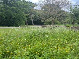 Chalet Hexham Omgeving 23