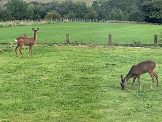 Chalet Hexham Environnement 39