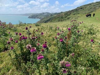 Chalet Dartmouth Ambiente 31