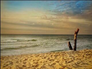 Apartamento Koksijde Entorno 37