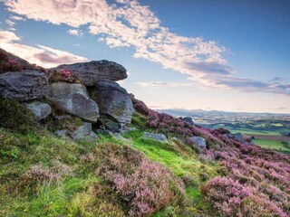 Chalet Hexham Omgeving 21