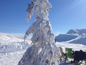 Appartamento Wachtelhof - Maria Alm - image1