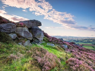 Chalet Hexham Umgebung 26