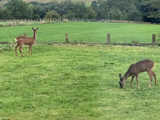 Chalet Hexham Omgeving 30