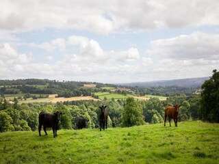 Chalet Hexham Entorno 32