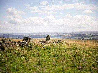 Chalet Hexham Umgebung 33