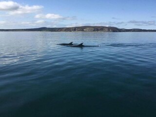 Chalet Pwllheli Environment 14