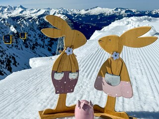 Vakantieappartement Mittelberg Buitenaudio-opname 17