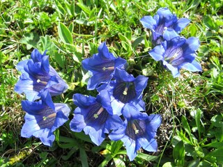 Apartamento de vacaciones Mittelberg Grabación al aire libre 11