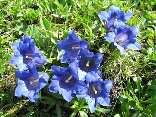 Appartement de vacances Mittelberg Enregistrement extérieur 11