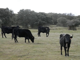 Maison de vacances Vega de Santa María  17