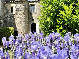 Apartment Simiane-la-Rotonde  51