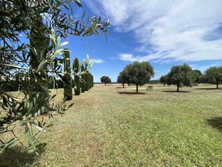 Appartement Riez  19