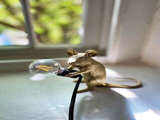 Casa vacanze Plymouth  29