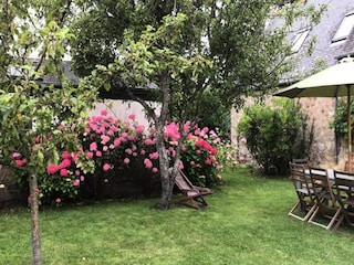 Apartment Trégastel  14