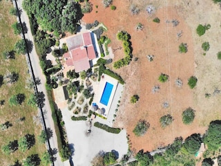 Apartment Santa Margalida  25