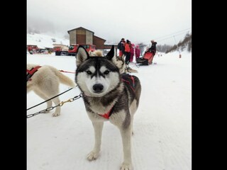 Appartamento Isola Ambiente 27