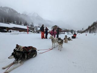 Appartamento Isola Ambiente 29