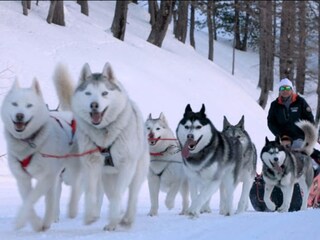 Appartamento Isola Ambiente 30