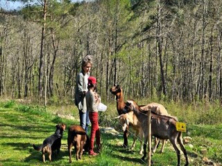 Appartamento Atur  14