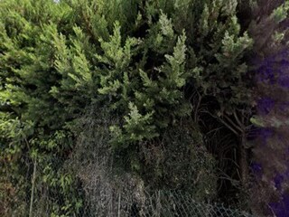 Apartamento Bordeaux Grabación al aire libre 6