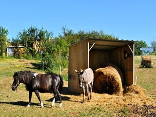 Appartement Atur  14