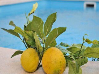 Apartment Santa Margalida  39