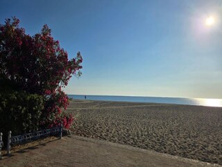 Appartement Argelès-sur-Mer Omgeving 19